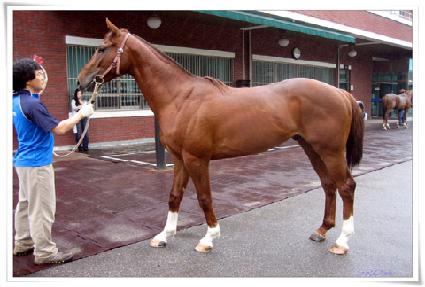 �ݰ����� ����