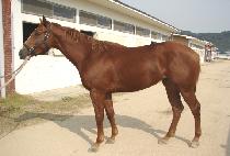 ��ǰ�ô� (MYEONGPUM SIDAE) ����