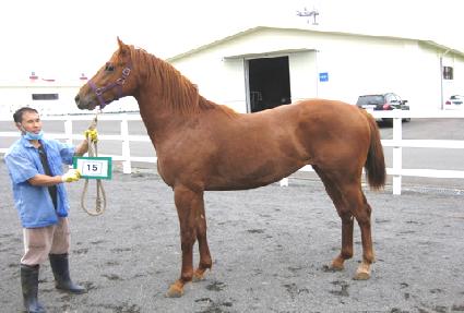 ��׸� ����