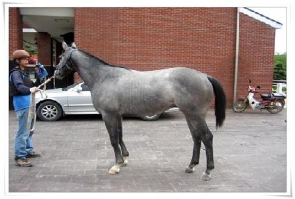 �̱⸮ ����