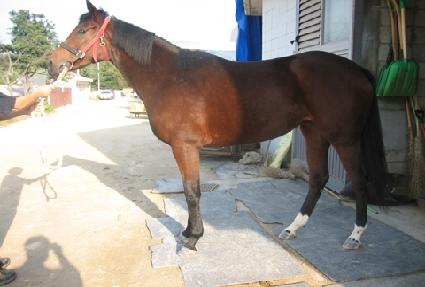 ������Ʈ ����