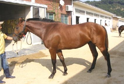 �뼺���� ����