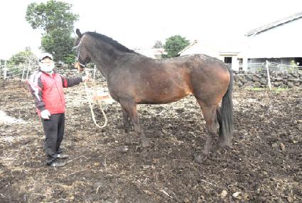 �������ְ� ����