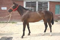 �����÷��� (MAGIC PLAY) ����