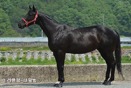 ��չ� ����