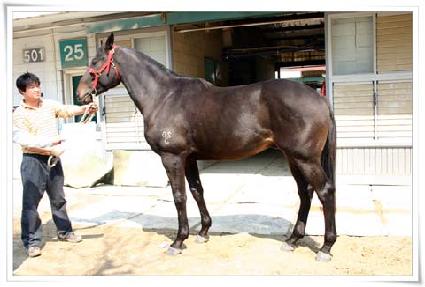 ���帶���� ����