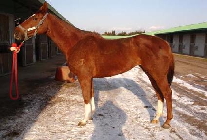 �������� ����