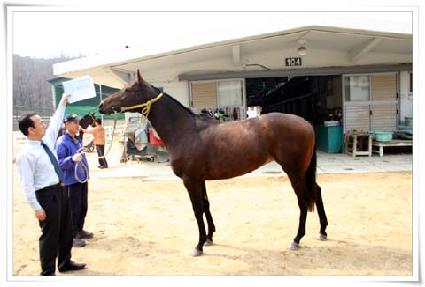 �ξ���� ����