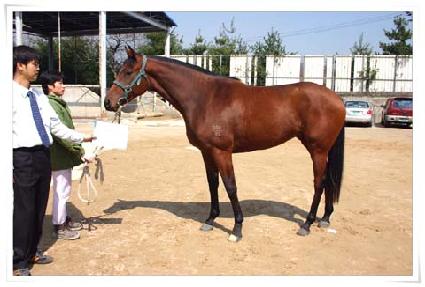 ���߸� ����