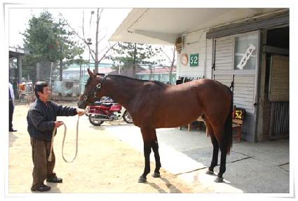 ������ ����