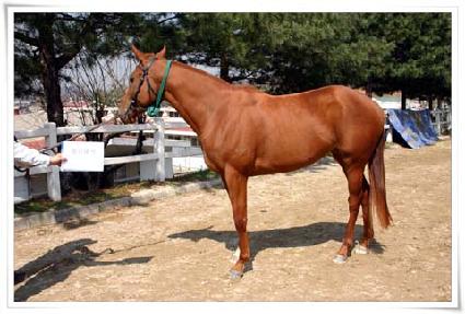 Ȳ�ݵ��� ����