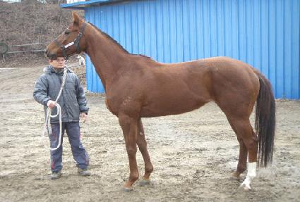 Ȳ��Ű ����