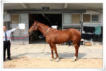 ������ (BILLINGS) ����