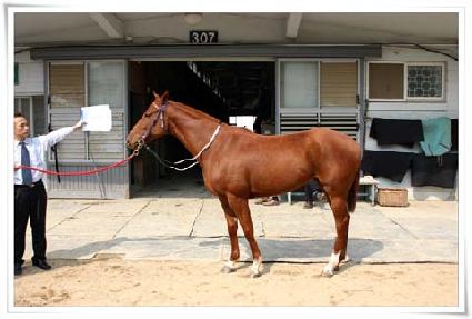 ������ ����