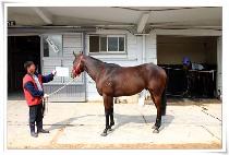 ��ε���ũ (BROAD PEAK) ����