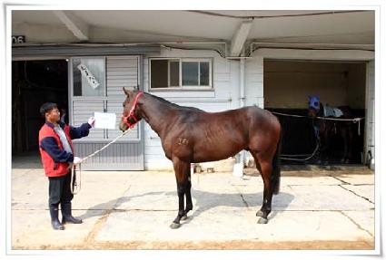 ��ε���ũ ����