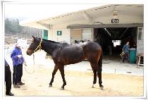 ������ (JEWANGJWA) ����