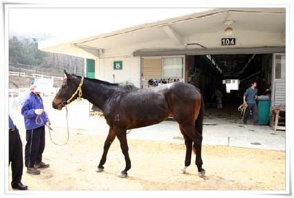 ������ ����