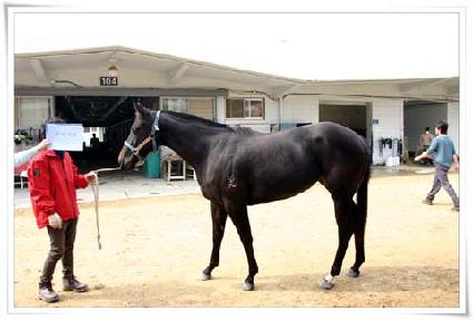 �¸���� ����