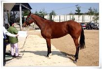 ���α׷� (PROGRAMME) ����