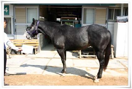 �������ڸ� ����