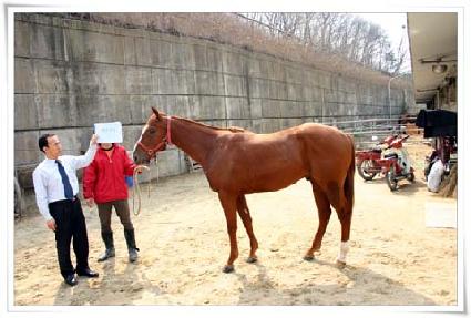 �ǿ���ŷ ����