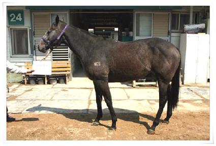 ���ٳ��� ����