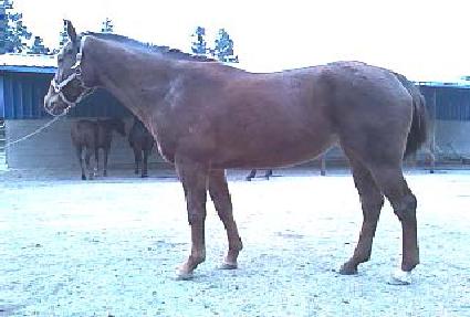 ���̼��� ����