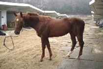 �ص���ȣ (HAEDONGGANGHO) ����