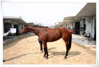 ������ ����