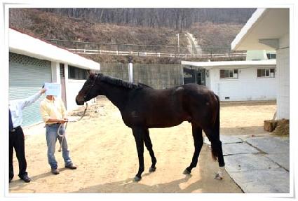 ž�÷��� ����