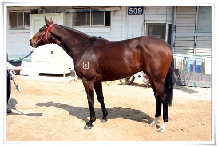 ũ��İ ����