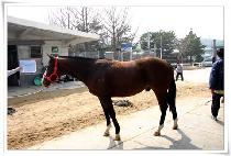 ���Ǿ� (MAFIA) ����