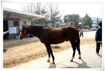 ���Ǿ� ����