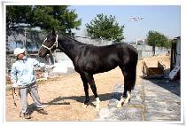 �����Ž� (EASY MATH) ����