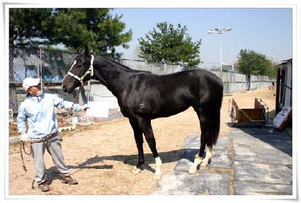 �����Ž� ����