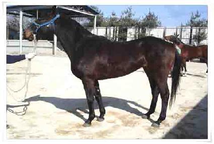 ��Ʈ ����