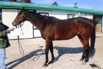 ���̺�����Ʈ ����