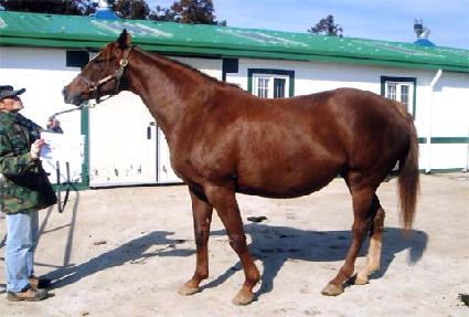 ����Ͼ� ����