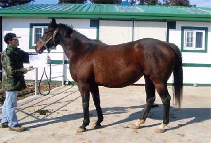 ��̽��͸����� ����