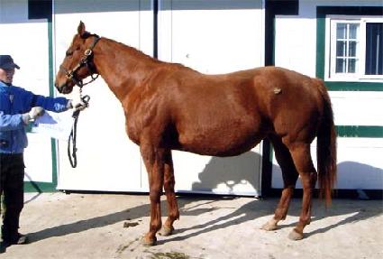 �ö������Ķ���� ����