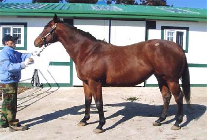 �Ƴ��������� ����