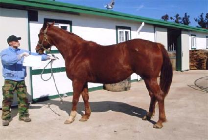 �������� ����