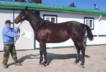 ������Ÿ�� ����