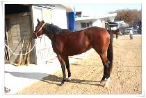 ��ī�̼��� (SKY CENTER) ����