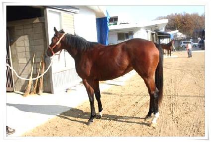 ��ī�̼��� ����