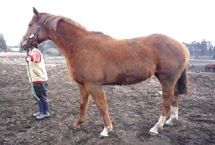 �Ͽ���� ����