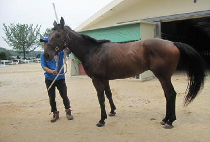 �̽�������Ʈ ����