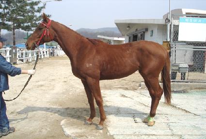 ��ö�� ����