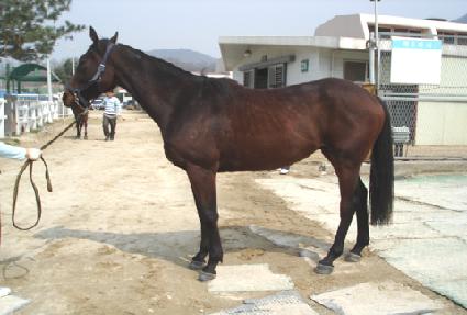 �������� ����